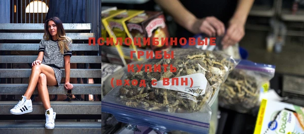 герыч Алексин