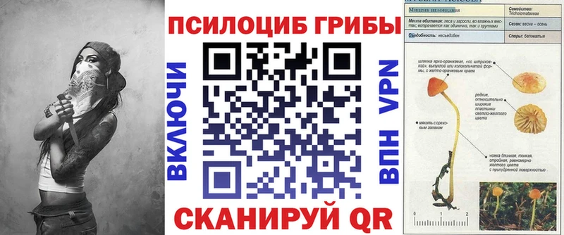 Галлюциногенные грибы ЛСД  цена наркотик  Мирный 